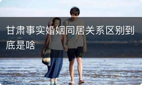 甘肃事实婚姻同居关系区别到底是啥