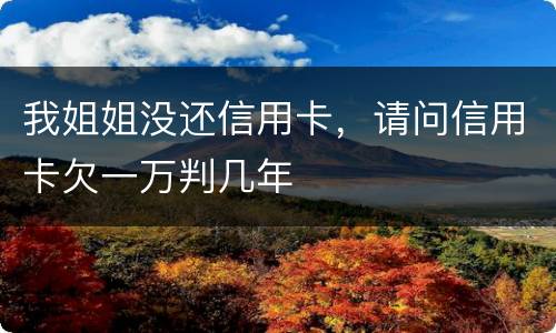 我姐姐没还信用卡,请问信用卡欠一万判几年