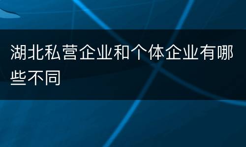 湖北私营企业和个体企业有哪些不同