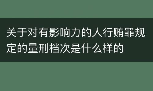 关于对有影响力的人行贿罪规定的量刑档次是什么样的
