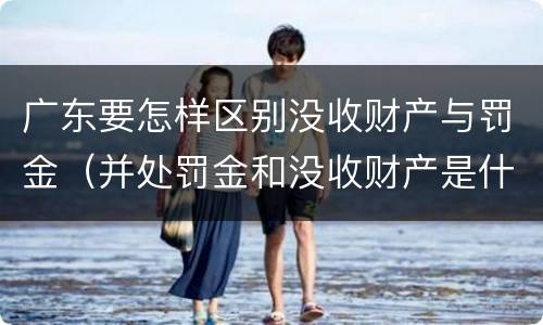 广东要怎样区别没收财产与罚金（并处罚金和没收财产是什么意思）