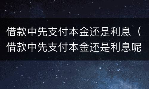 借款中先支付本金还是利息（借款中先支付本金还是利息呢）