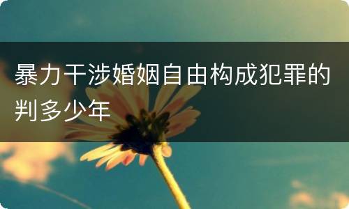 暴力干涉婚姻自由构成犯罪的判多少年