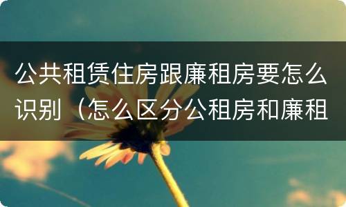 公共租赁住房跟廉租房要怎么识别（怎么区分公租房和廉租房）