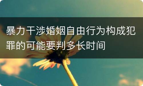 暴力干涉婚姻自由行为构成犯罪的可能要判多长时间
