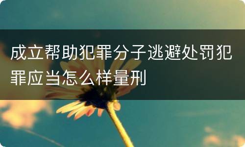 成立帮助犯罪分子逃避处罚犯罪应当怎么样量刑