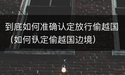 到底如何准确认定放行偷越国（如何认定偷越国边境）