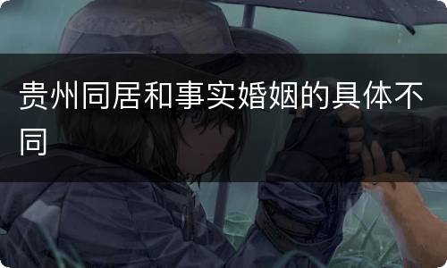 贵州同居和事实婚姻的具体不同