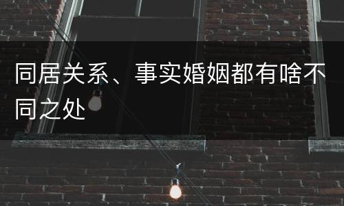 同居关系、事实婚姻都有啥不同之处