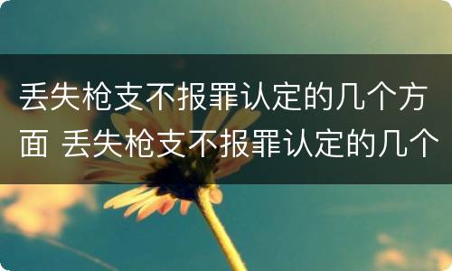 丢失枪支不报罪认定的几个方面 丢失枪支不报罪认定的几个方面有哪些