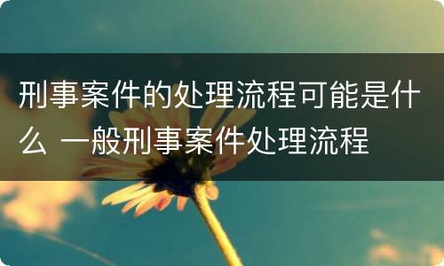 刑事案件的处理流程可能是什么 一般刑事案件处理流程