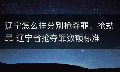 辽宁怎么样分别抢夺罪、抢劫罪 辽宁省抢夺罪数额标准