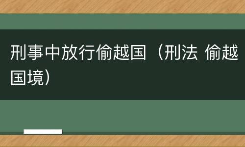 刑事中放行偷越国（刑法 偷越国境）