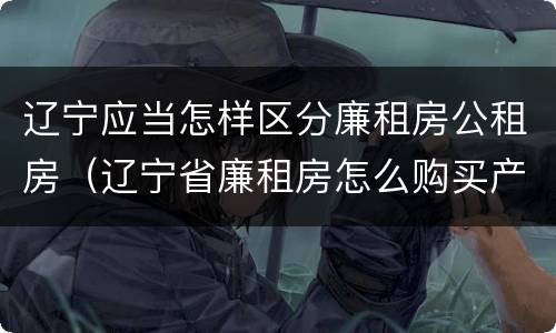 辽宁应当怎样区分廉租房公租房（辽宁省廉租房怎么购买产权）