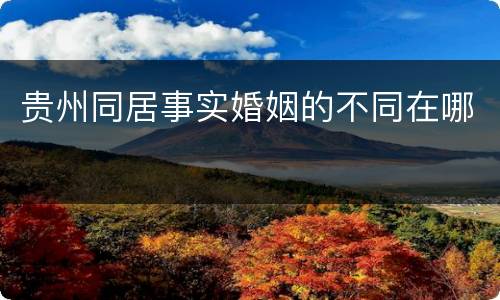 贵州同居事实婚姻的不同在哪