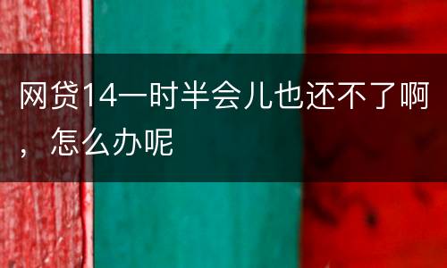 网贷14一时半会儿也还不了啊,怎么办呢