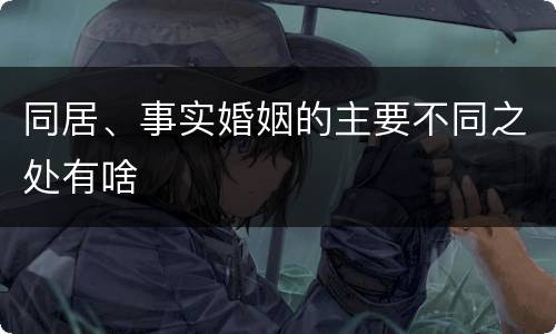同居、事实婚姻的主要不同之处有啥