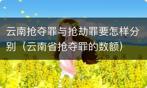 云南抢夺罪与抢劫罪要怎样分别（云南省抢夺罪的数额）