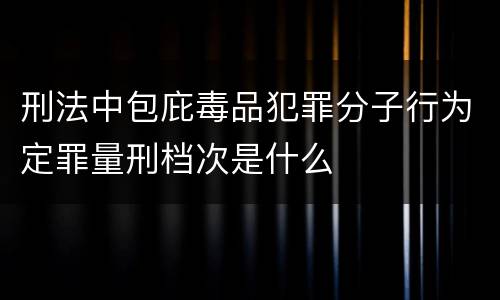 刑法中包庇毒品犯罪分子行为定罪量刑档次是什么