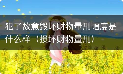 犯了故意毁坏财物量刑幅度是什么样（损坏财物量刑）