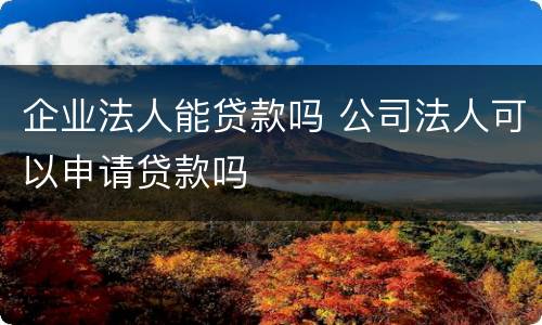企业法人能贷款吗 公司法人可以申请贷款吗