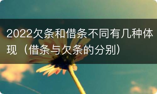 2022欠条和借条不同有几种体现（借条与欠条的分别）