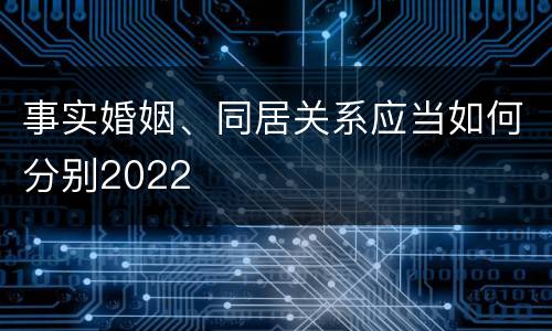 事实婚姻、同居关系应当如何分别2022