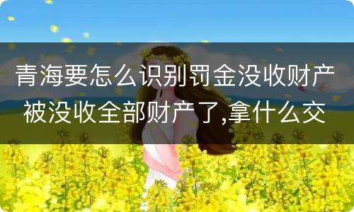 青海要怎么识别罚金没收财产 被没收全部财产了,拿什么交罚金