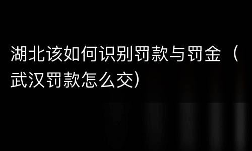 湖北该如何识别罚款与罚金（武汉罚款怎么交）