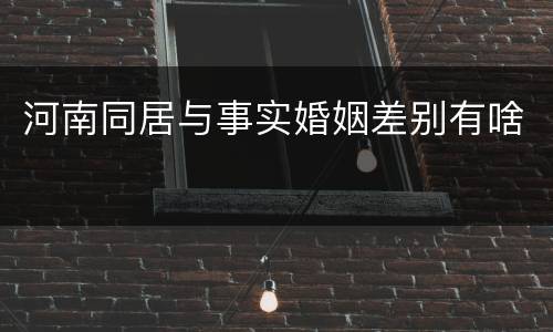 河南同居与事实婚姻差别有啥