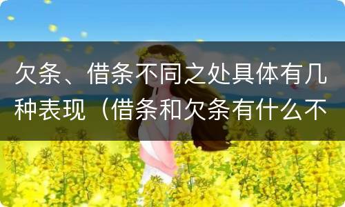 欠条、借条不同之处具体有几种表现（借条和欠条有什么不同借条书写）