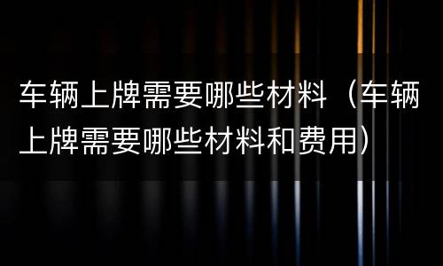 车辆上牌需要哪些材料（车辆上牌需要哪些材料和费用）