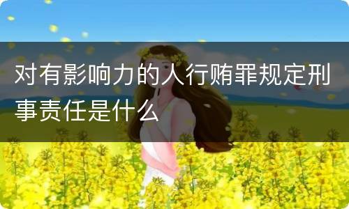 对有影响力的人行贿罪规定刑事责任是什么