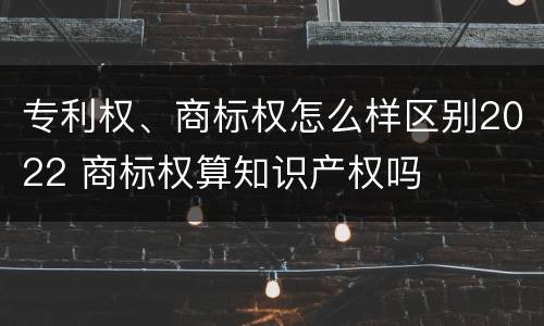 专利权、商标权怎么样区别2022 商标权算知识产权吗