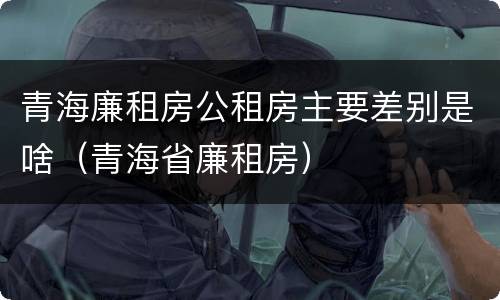 青海廉租房公租房主要差别是啥（青海省廉租房）