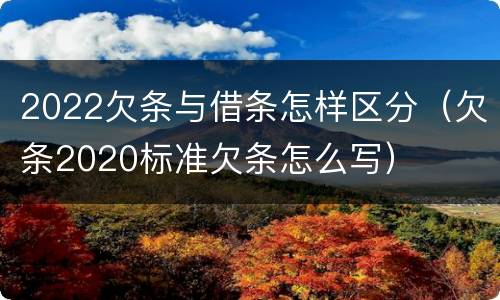 2022欠条与借条怎样区分（欠条2020标准欠条怎么写）