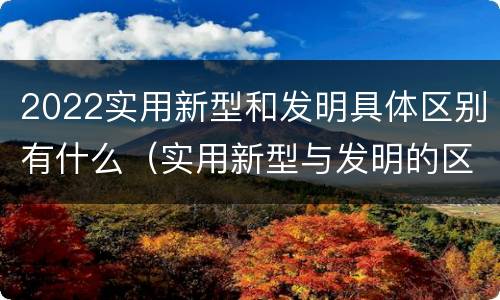 2022实用新型和发明具体区别有什么（实用新型与发明的区别有哪些）