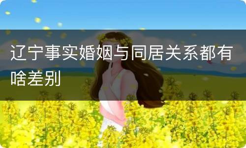 辽宁事实婚姻与同居关系都有啥差别