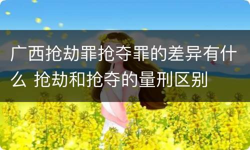 广西抢劫罪抢夺罪的差异有什么 抢劫和抢夺的量刑区别