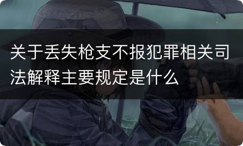 关于丢失枪支不报犯罪相关司法解释主要规定是什么