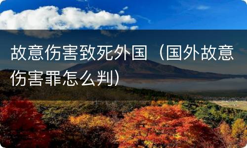故意伤害致死外国（国外故意伤害罪怎么判）