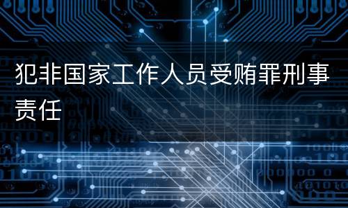 犯非国家工作人员受贿罪刑事责任