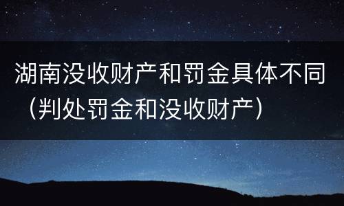 湖南没收财产和罚金具体不同（判处罚金和没收财产）