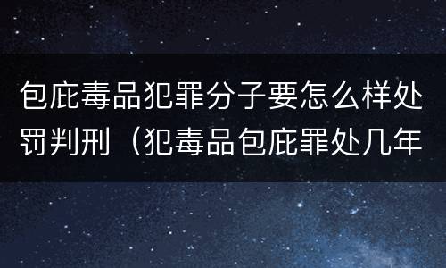包庇毒品犯罪分子要怎么样处罚判刑（犯毒品包庇罪处几年徒刑）