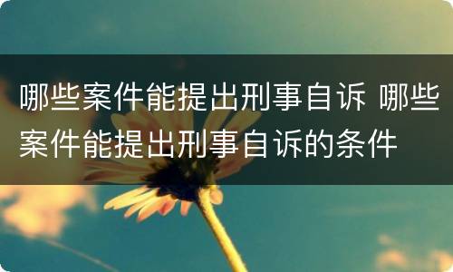 哪些案件能提出刑事自诉 哪些案件能提出刑事自诉的条件