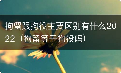 拘留跟拘役主要区别有什么2022（拘留等于拘役吗）