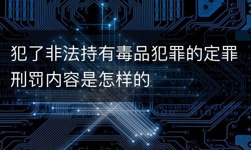 犯了非法持有毒品犯罪的定罪刑罚内容是怎样的