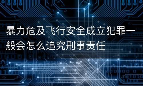 暴力危及飞行安全成立犯罪一般会怎么追究刑事责任