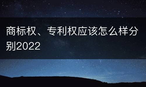 商标权、专利权应该怎么样分别2022