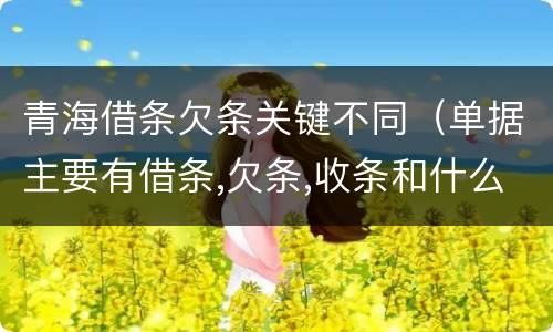 青海借条欠条关键不同（单据主要有借条,欠条,收条和什么）
